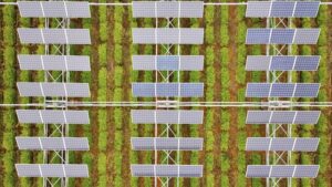 Can solar farms and agricultural farms coexist?


