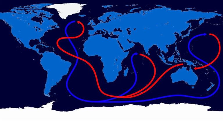 Oceanic Current 